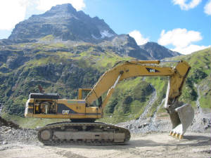 cat308.jpg